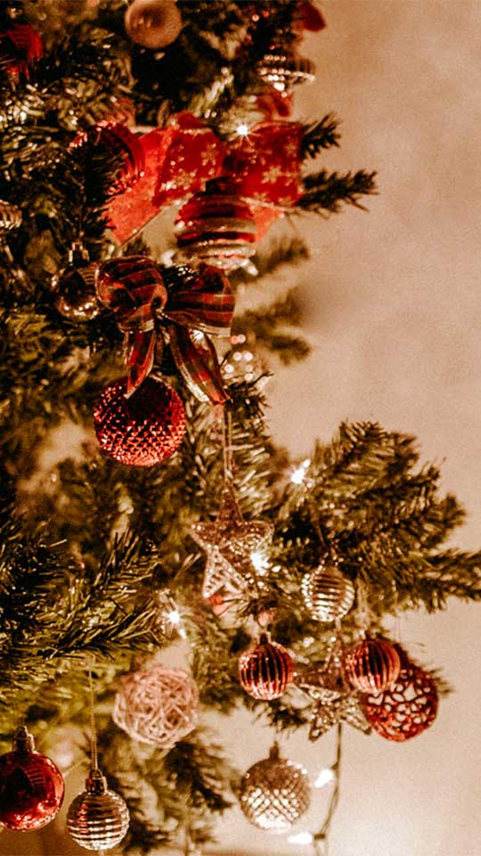 Catas de vinos Lumière Restaurante